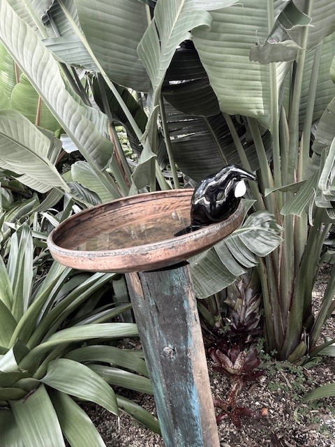 images/RS COPPER BIRD4.jpg